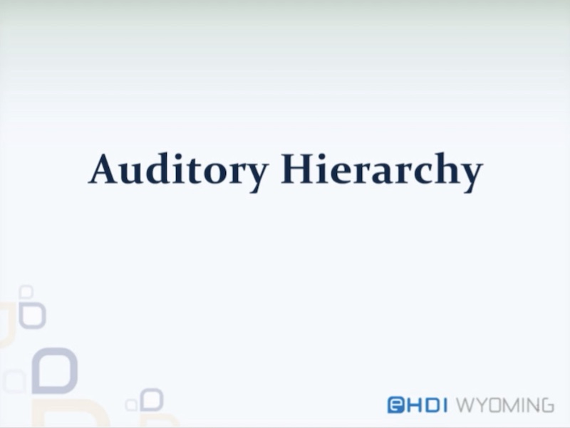 Decorative image for Auditory training part 2